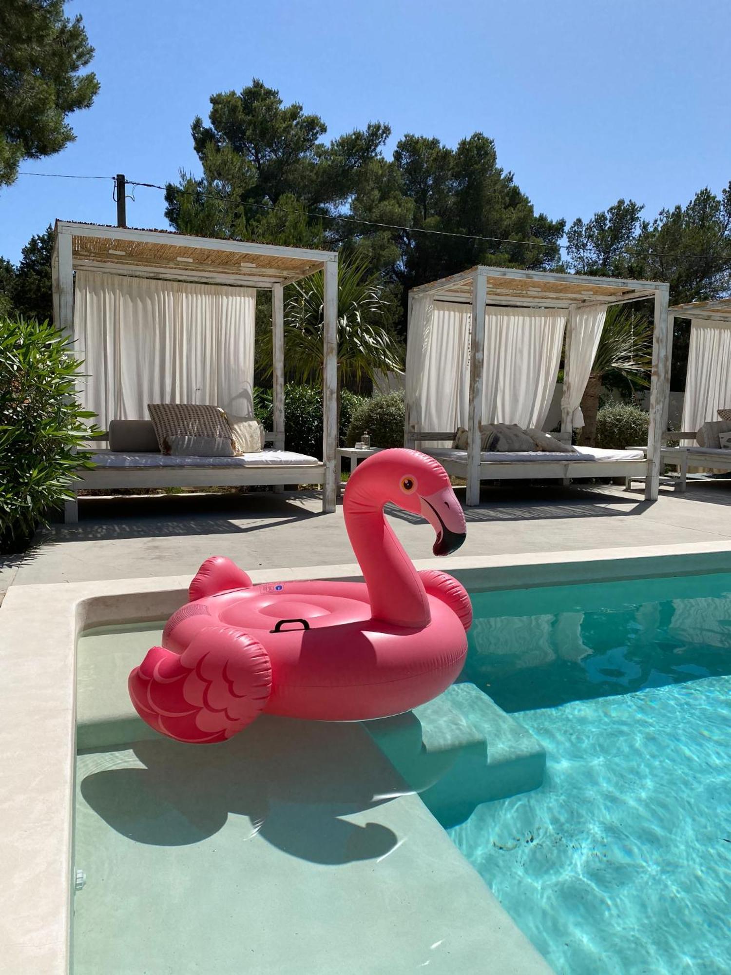 Boutique Hotel Casa Caracol - Apartments In Strandnaehe, Salzwasserpool, Fotovoltaik, Adults Only San José 外观 照片
